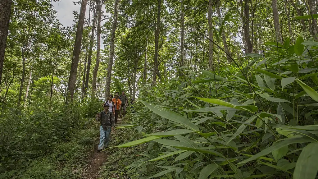 5 Day Northern Thailand Hilltribes Trek  - Chiang Mai to Chiang Mai | G Adventures