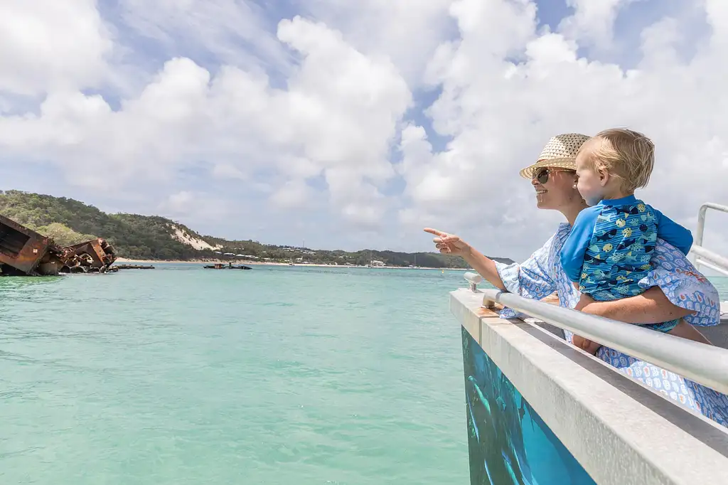 Marine Discovery Day Cruise with option to upgrade to Dolphin Feeding | Moreton Island