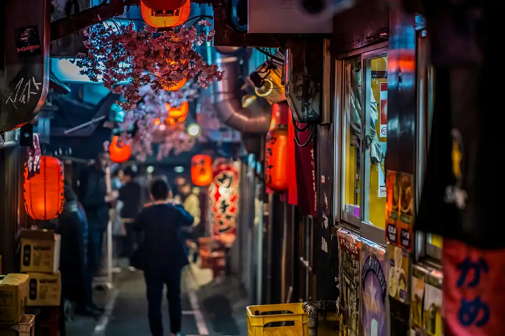 Tokyo Night Food Tour in Shinjuku