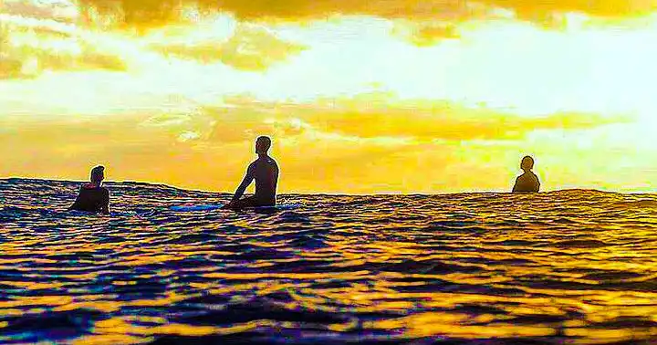 Waikiki Glass Bottom Boat Sunset Cruise