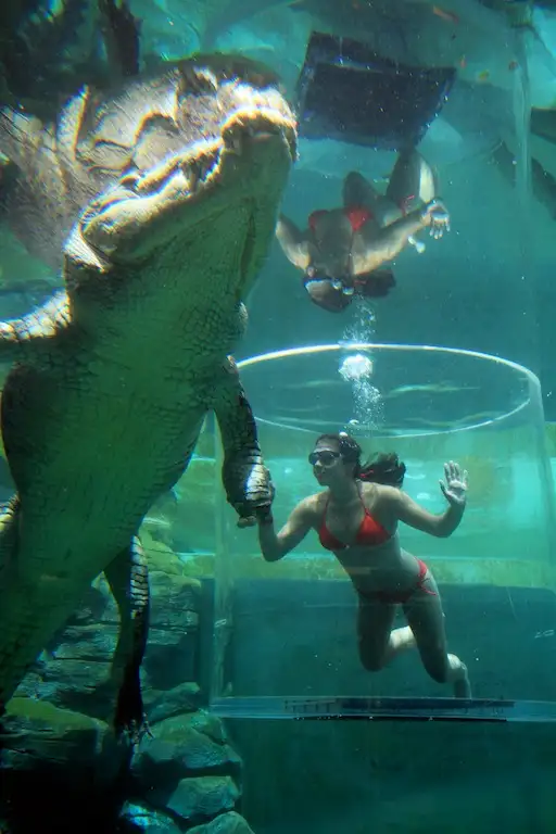 Crocosaurus Cove Cage of Death for 1 Person