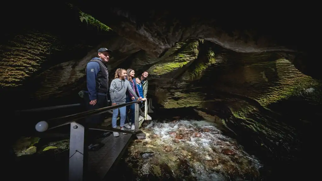 Premium Milford Sound & Te Anau Highlights 2 day Combo Small Group Tour from Queenstown