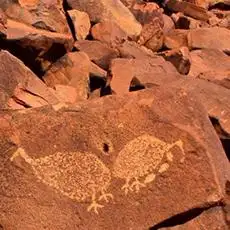 Rock Art Tour - Nganjarli