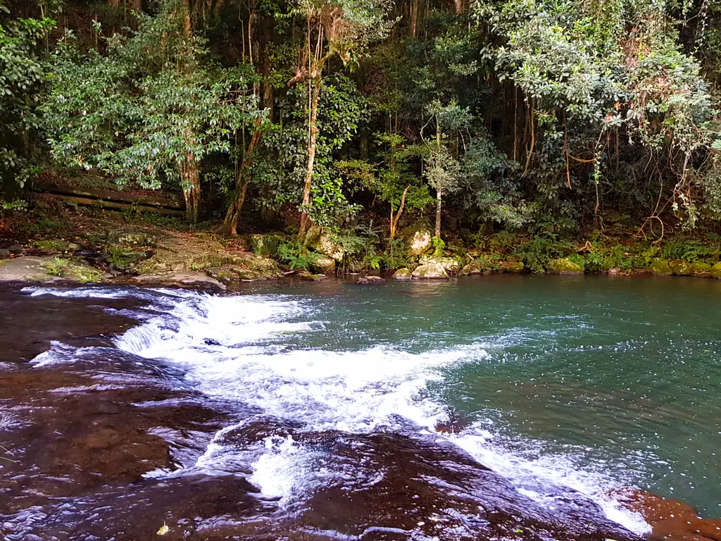 Sunshine Coast & Hinterland Day Tour From Brisbane or Sunshine Coast