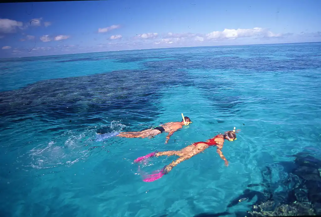 OceanQuest 3 Day 2 Night Liveaboard Experience | Great Barrier Reef