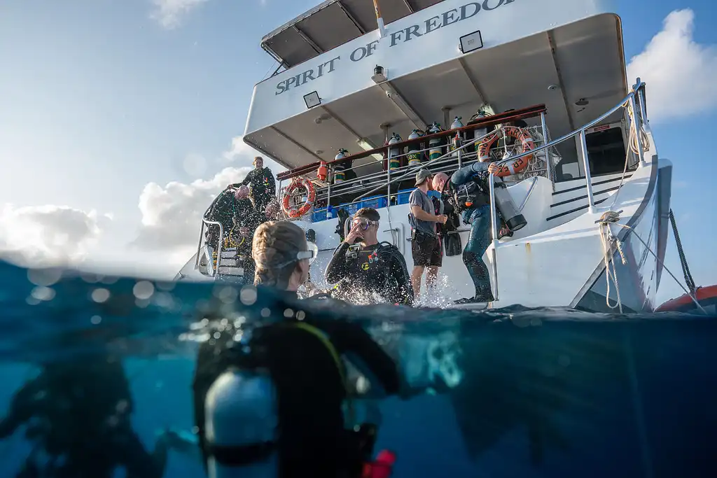 7 Night Liveaboard Dive Trip | Cod Hole & Ribbon Reefs | Great Barrier Reef