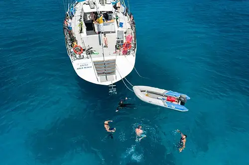 Snorkel SV Summer Jo Whitsundays