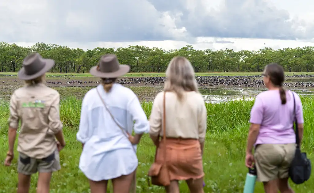 Jumping Crocodile Tour from Darwin