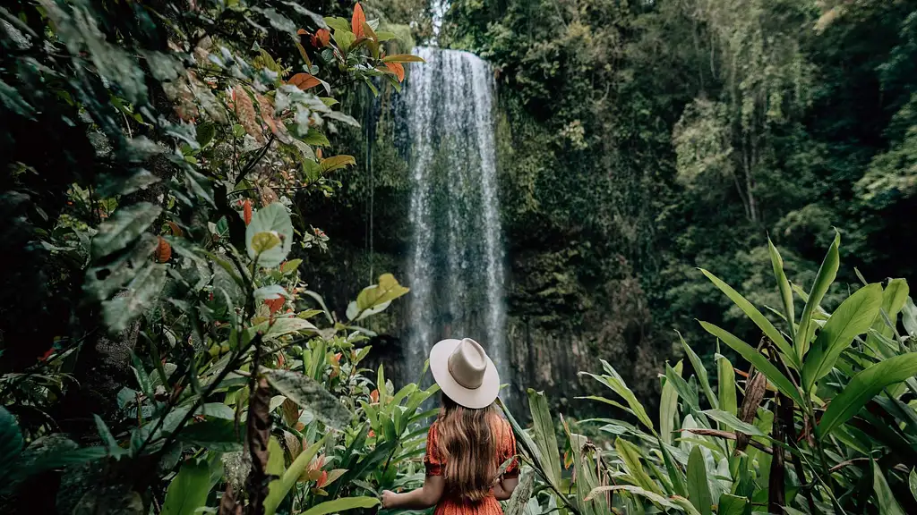 Waterfall Wanderers Full Day Tour from Cairns