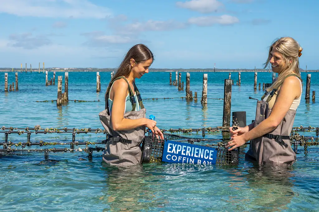 Coffin Bay Oyster Farm & Bay Tour