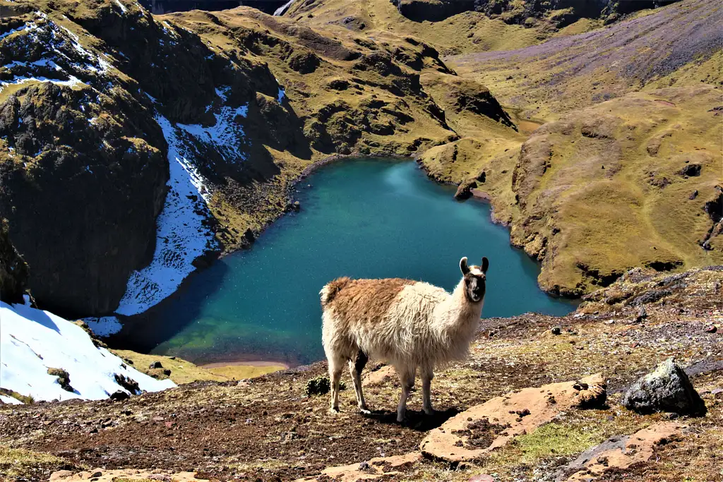 Lares Trek to Machu Picchu - 4 Days 3 Nights From Cusco