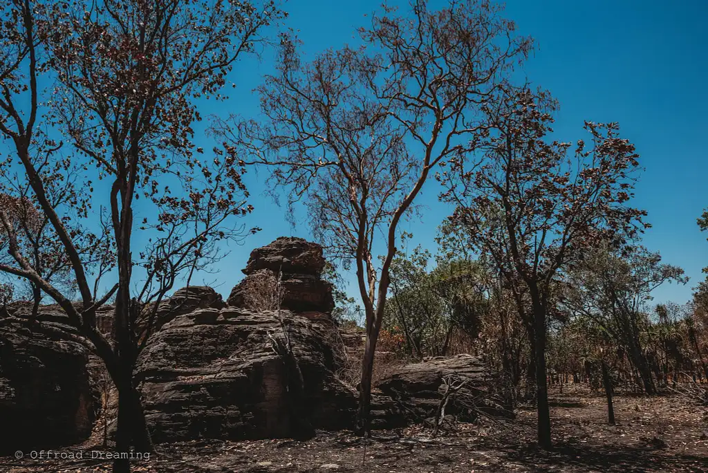 Kakadu National Park Day Tour + Lunch & Cultural Cruise (Dry Season)