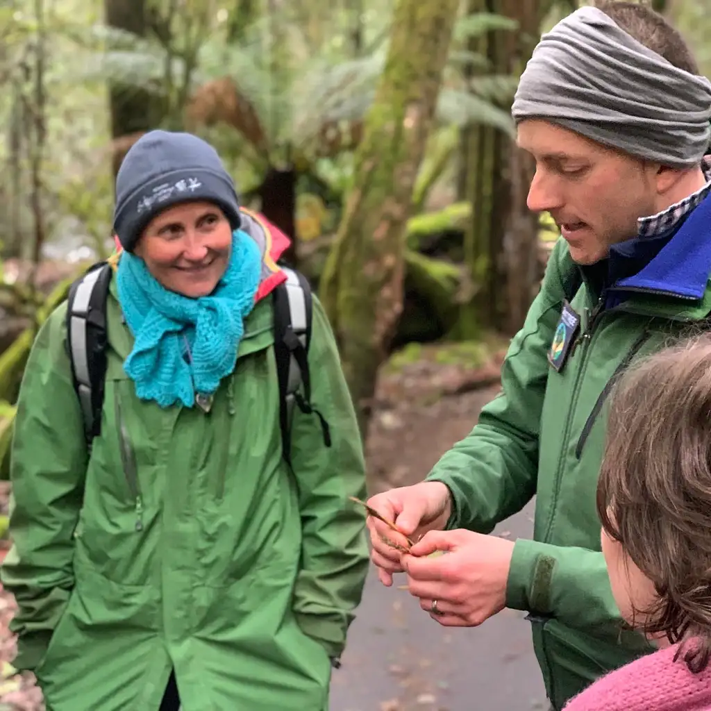 Tasmania Big Tree Hunting