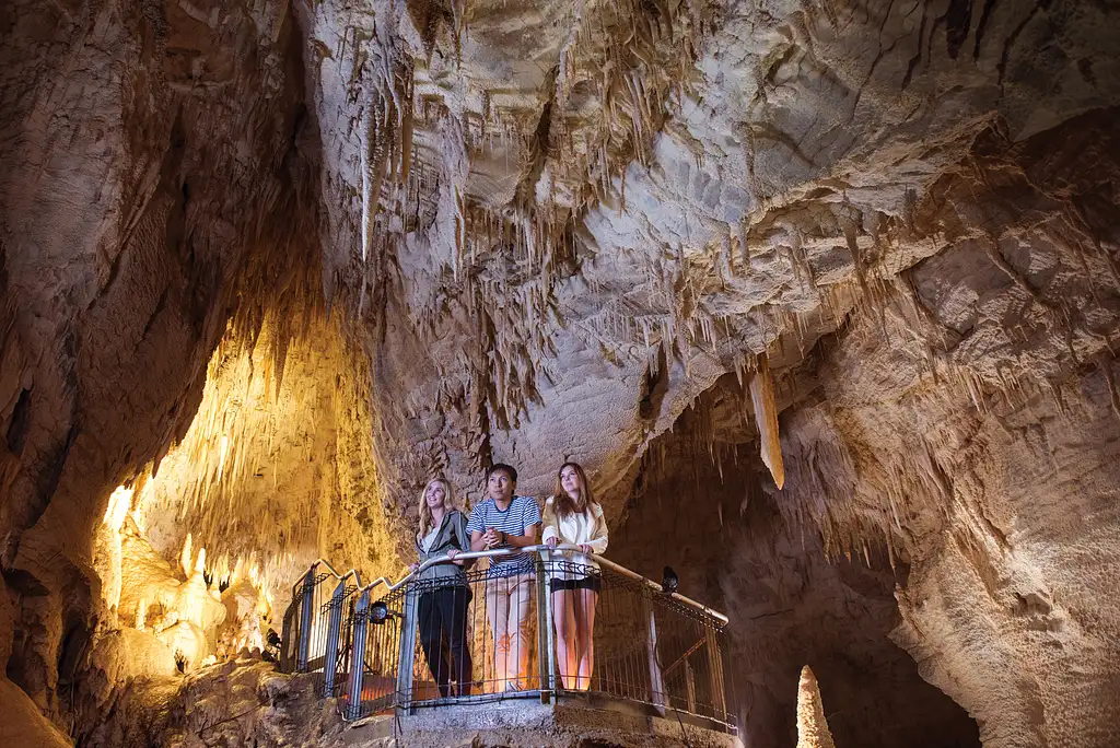 Ruakuri Glowworm Cave Tour