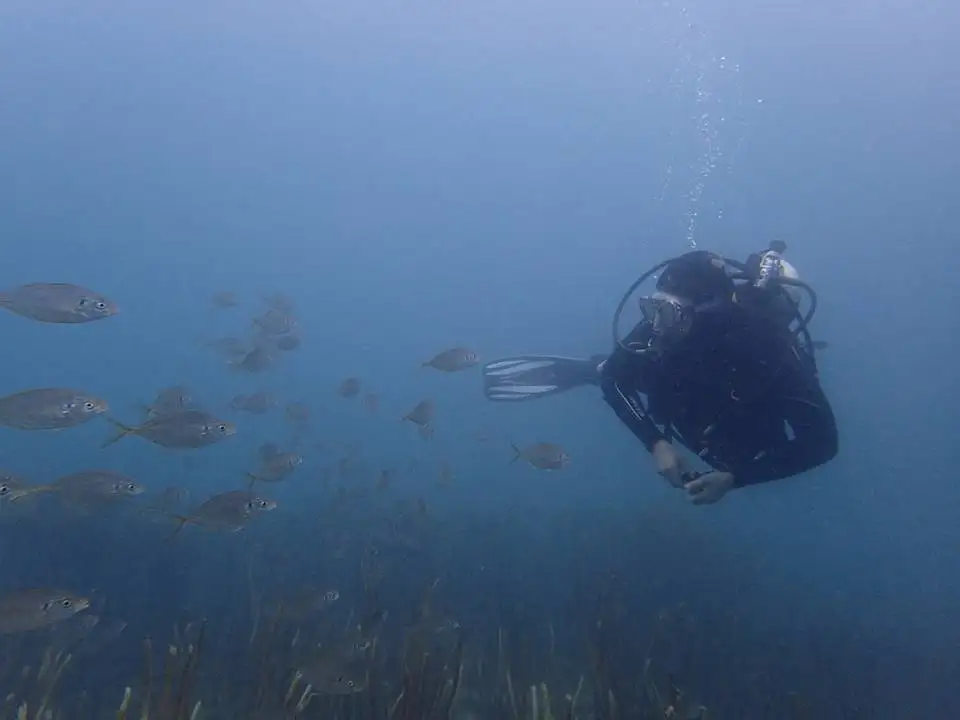 Goat Island Try Scuba Diving - Half Day