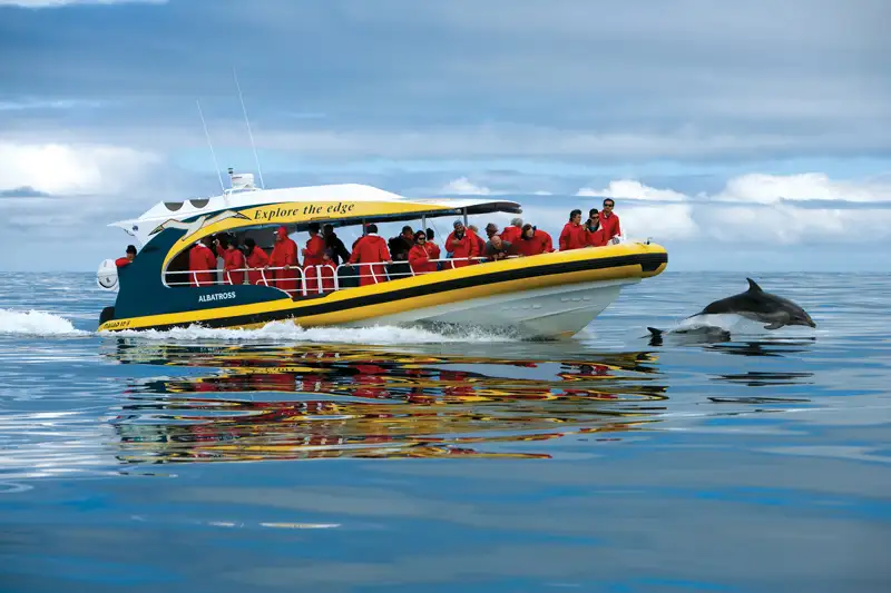 Tasman Island 3 Hour Cruise - Departing Port Arthur