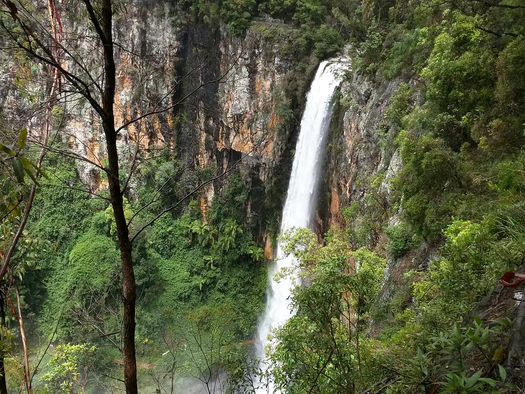 Natural Bridge & Springbrook Waterfalls Tour