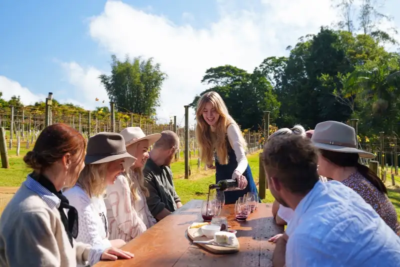 Full Day Vino Bus Winery Tour With Lunch ex Brisbane or Gold Coast