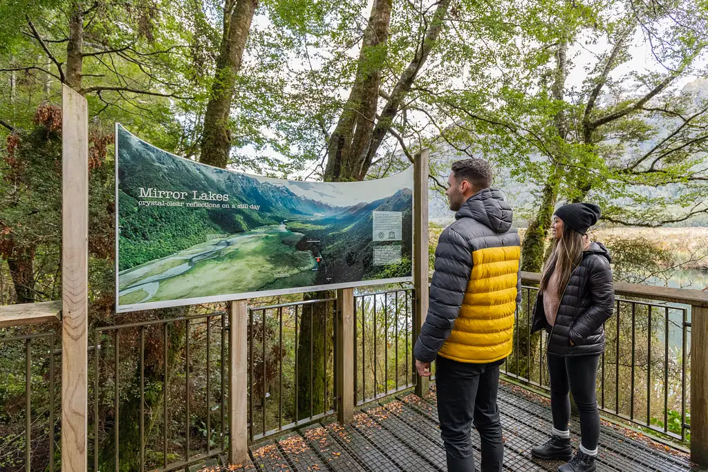 Milford Sound Experience Small Group Tour