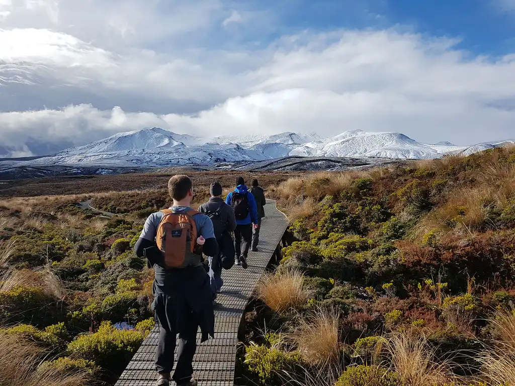 24 Day Kea Tour | Auckland to Auckland | Stray