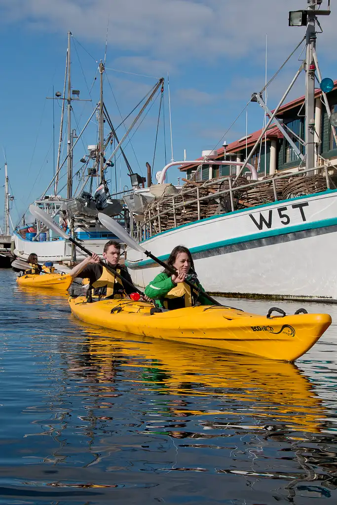 Hobart City Kayaking Tour - 2.5 Hours