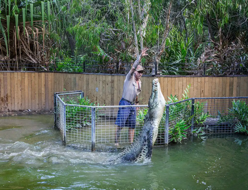 Hartley's Crocodile Adventures Half Day Tour