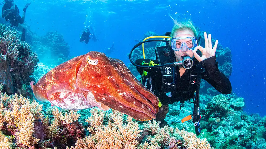 3 Night Liveaboard Dive Trip | Cod Hole & Ribbon Reef | Great Barrier Reef