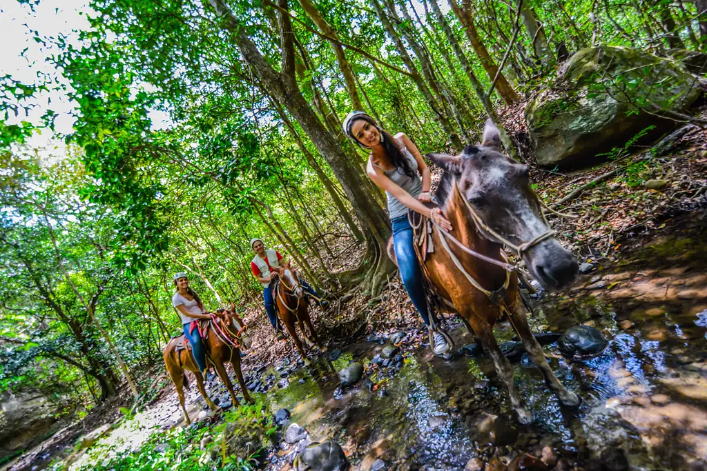 Adventure Day Combo at Rincón de la Vieja & Vida Aventura.