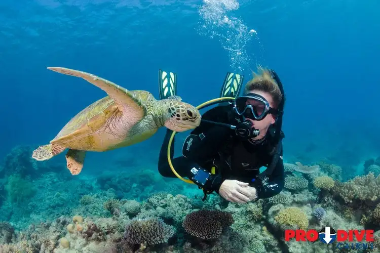 3 Day Great Barrier Reef Liveaboard Package | Snorkel or Dive