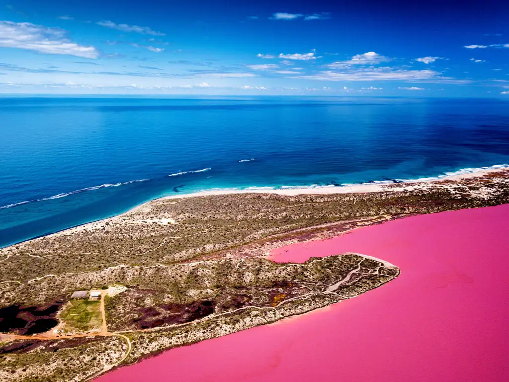 Pink Lake Buggy Tour | Western Australia