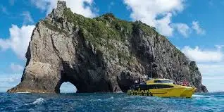 Bay of Islands Day Tour from Auckland