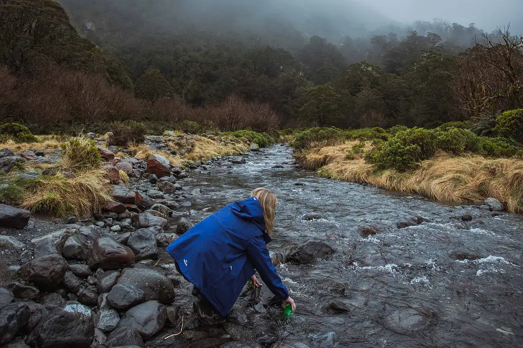 Milford Sound Coach | Cruise | Coach From Queenstown with Lunch