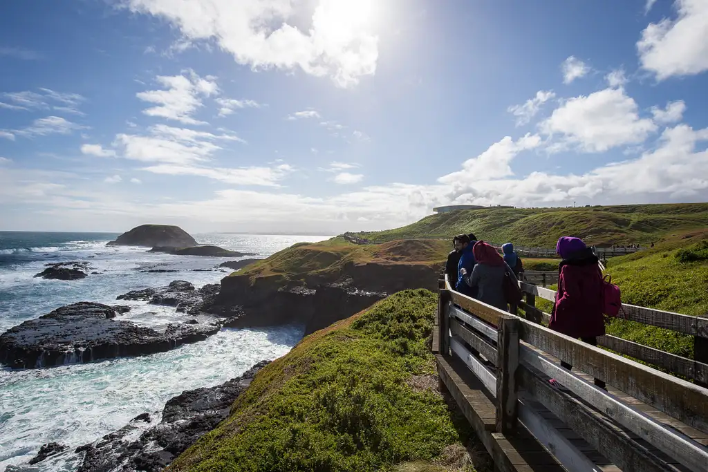 Phillip Island Wildlife & Brighton Beach Boxes Bus Tour