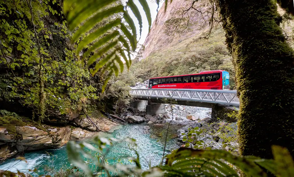 Milford Sound Nature Cruise With Coach