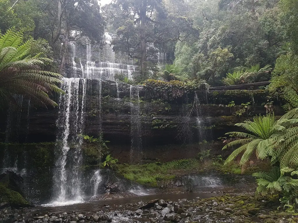 4 Day Wild Tasmania Tour