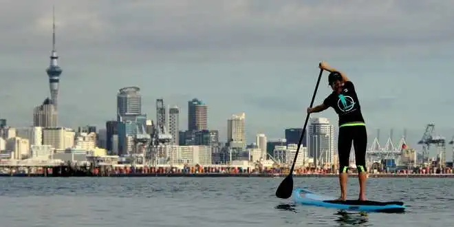 One Hour Stand Up Paddle Board Rental