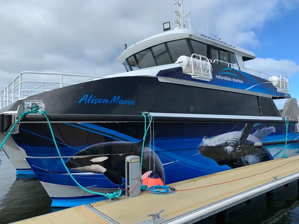 Bremer Canyon Killer Whale (Orca) Expedition