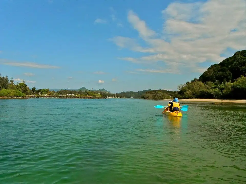 Brunswick River Nature Kayak Tour