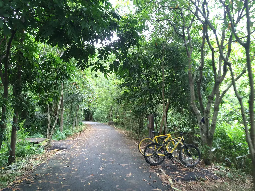 Bike Tour of Bangkok’s Green Lung