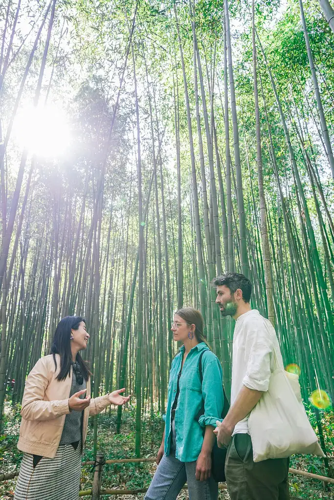 Kyoto Arashiyama Bamboo forest & Garden Half-Day Walking Tour