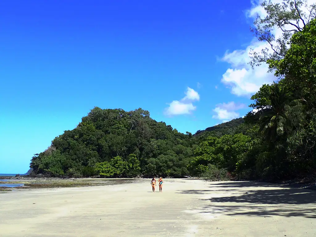 Uncle Brian's Cape Tribulation Day Tour