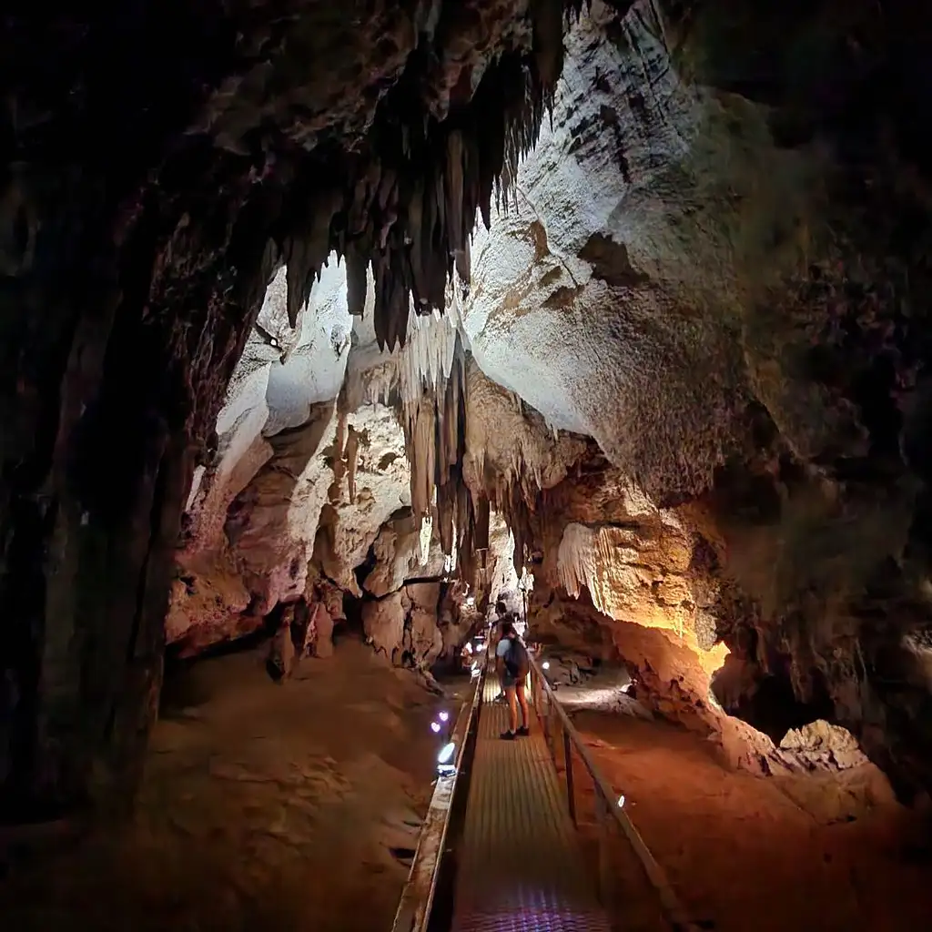 Cutta Cutta Caves Guided Tour