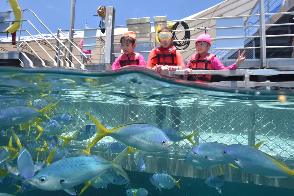 Moore Reef & Fitzroy Island - Reef & Island in a Day Tour