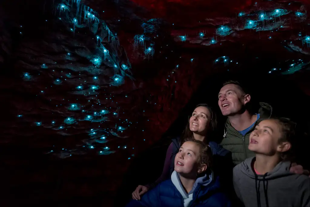 Te Anau Glowworm Cave Tour