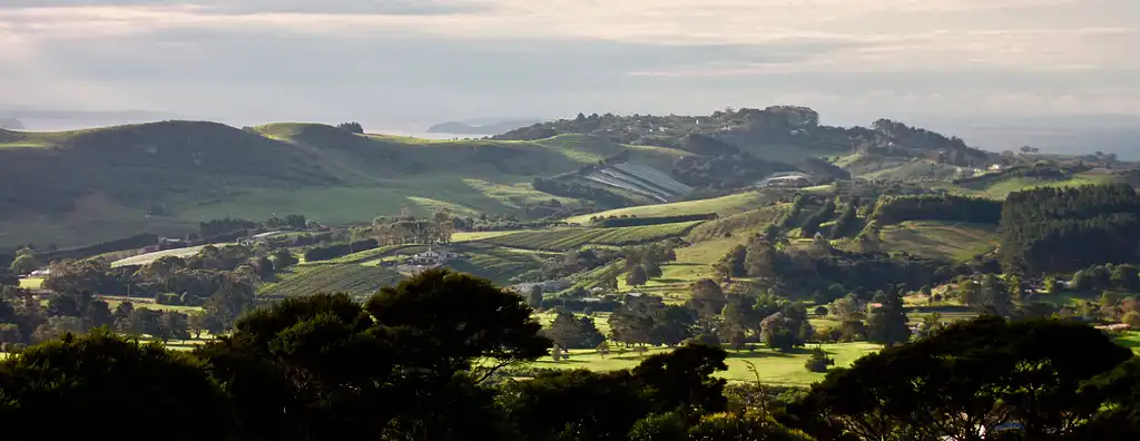 Waiheke Scenic Wine Tasting Tour