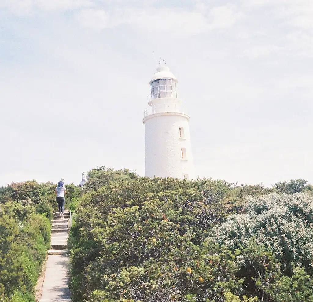 Bruny Island Day Tour | From Hobart