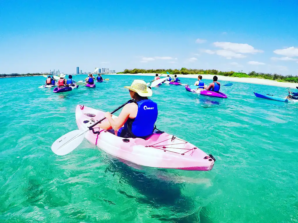 Morning Dolphin Kayaking & Snorkelling Tour