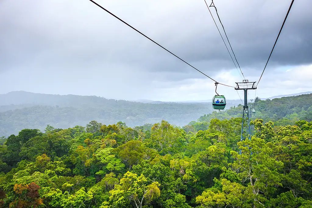 5 Day - Best of Cairns, Great Barrier Reef & Daintree | Intrepid Tour