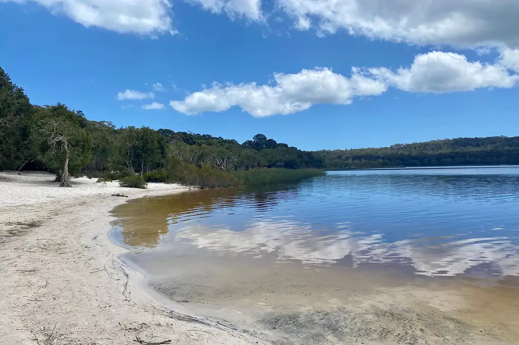 North Stradbroke Island Beaches & Wildlife - Small Group Day Tour