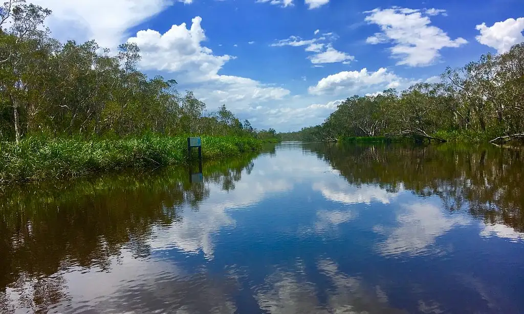 Noosa Everglades Cruise & Highlights Private Tour with Lunch